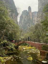 Zhangjiajie - no words to describe 