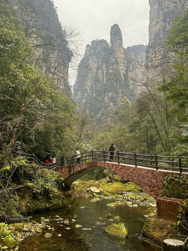 Zhangjiajie - no words to describe 