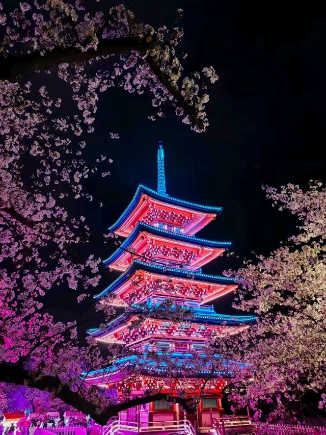 A Rain of Cherry Blossoms: The Dreamy Beauty of Wuhan’s Spring