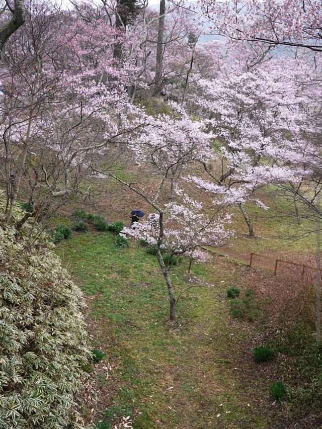 Takato Castle Park, Nagano