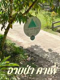 อาบป่าคาเฟ่