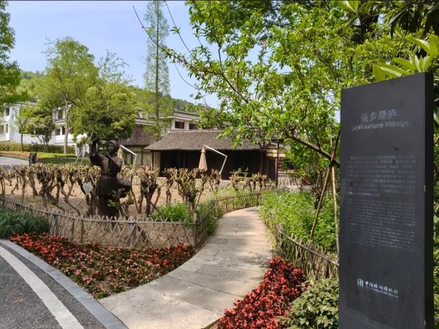 China National Silk Museum – A Journey Through 5,000 Years of Textile Art