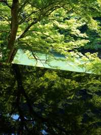 【京都】絶景リフレクション やSNSで話題のシンメトリーの丸窓