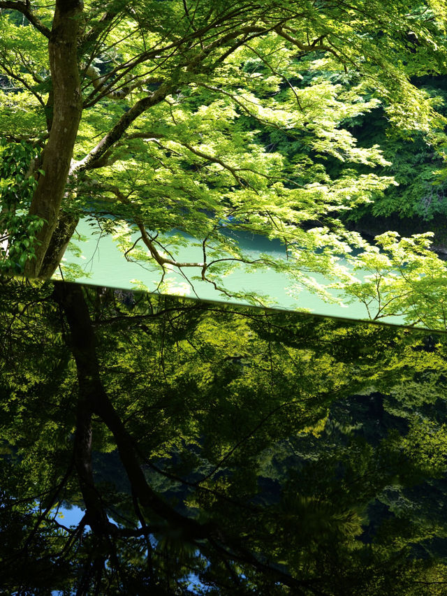 【京都】絶景リフレクション やSNSで話題のシンメトリーの丸窓
