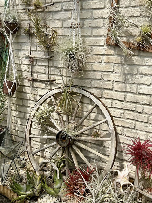 Springtime Stroll at the Crystal Palace Greenhouse