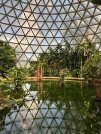 Mount Coottha Botanic garden 