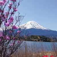 富士山（山梨県／静岡県）