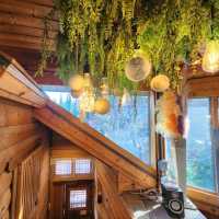 CAFE WOOD & FOREST