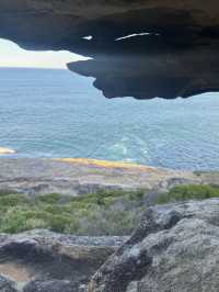 【シドニー】電車とフェリーで行ける大自然！Royal National Park で癒しのトレイル旅