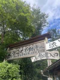 【上高地⛰️🍃】