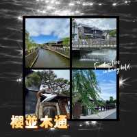 櫻並木通•昭和風情的浪漫