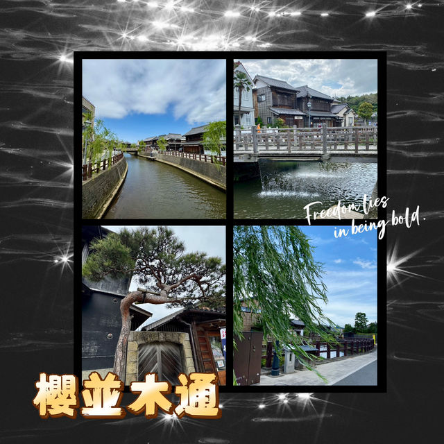 櫻並木通•昭和風情的浪漫