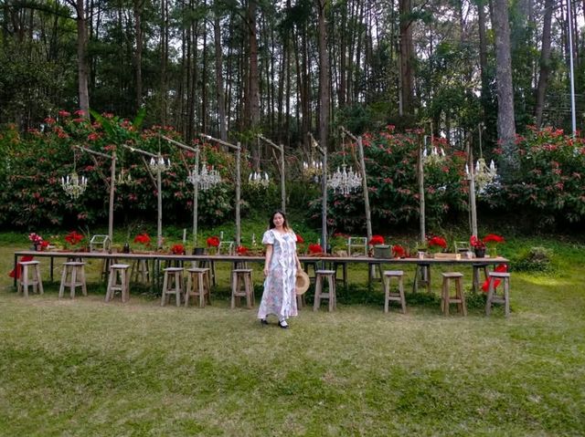 คาเฟ่บรรยากาศดีที่เชียงใหม่