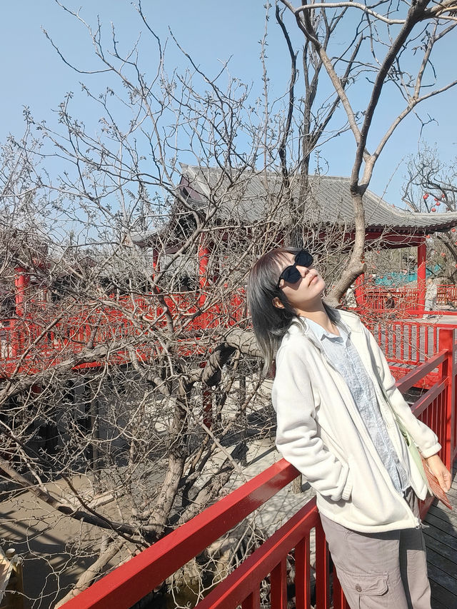 我也算是在萬歲山見了一遭王婆說媒的火爆威力