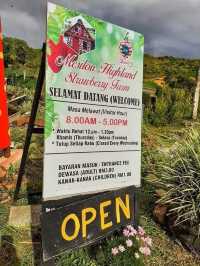 “Sweet Escapes: A Day at Mesilau Strawberry Farm”