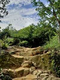 最親近台北的森林步道～富陽及黎和自然生態公園走走