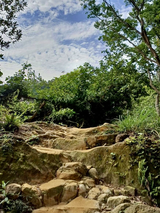 最親近台北的森林步道～富陽及黎和自然生態公園走走