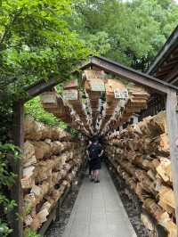 【埼玉×川越】映える神社で有名 6月は風車