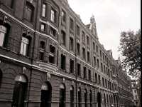 มุมถ่ายรูปสุดว้าวที่เดอะบันด์ the bund