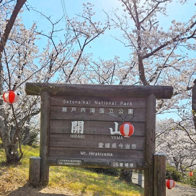 海と空の水色、桜のピンク。コントラストが美しい。