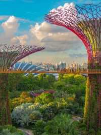 ❄️ A Touch of the Alps in the Tropics! 🇨🇭🌿 Singapore 