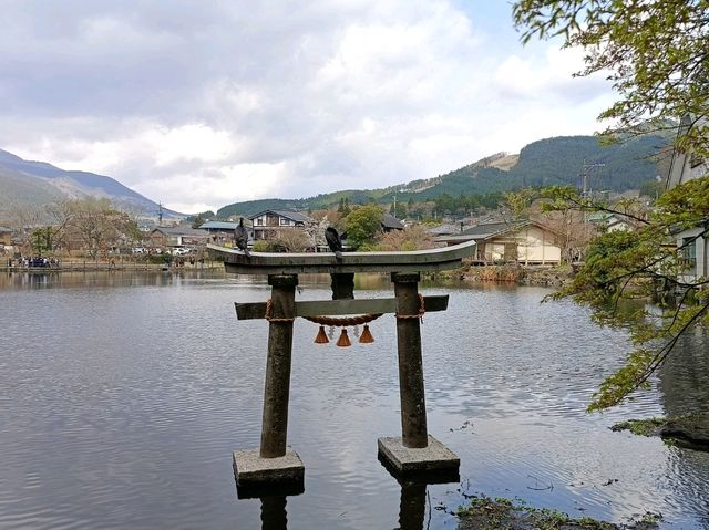 九大本線橫斷 由布院/大分/別府