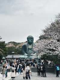 Kamakura (鎌倉) 🚃🌊 (คามาคุระ)