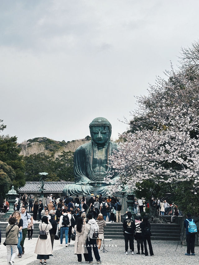 Kamakura (鎌倉) 🚃🌊 (คามาคุระ)