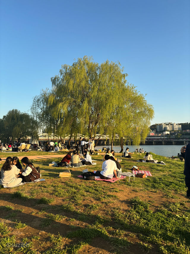 서울 여행 노을 맛집 🌅, 노들섬 100% 즐기기!