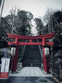 東京這樣玩才懂行：咖啡、神社、商店街一次走透透