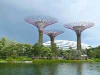 A Walk Through the Future: Exploring Gardens by the Bay, Singapore