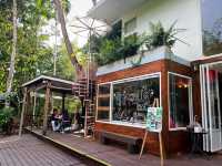 บ้านในหมง treehouse ระนอง