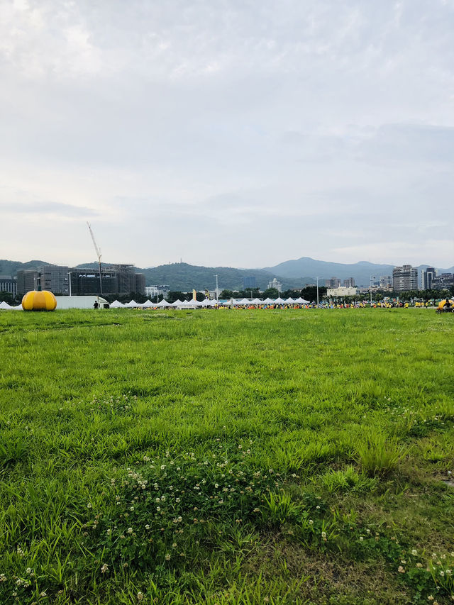 很舒適，一個大型海濱公園