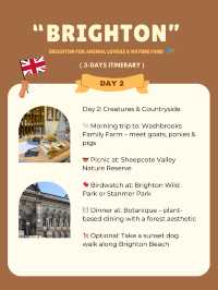 Brighton 3-days itinerary ❣️