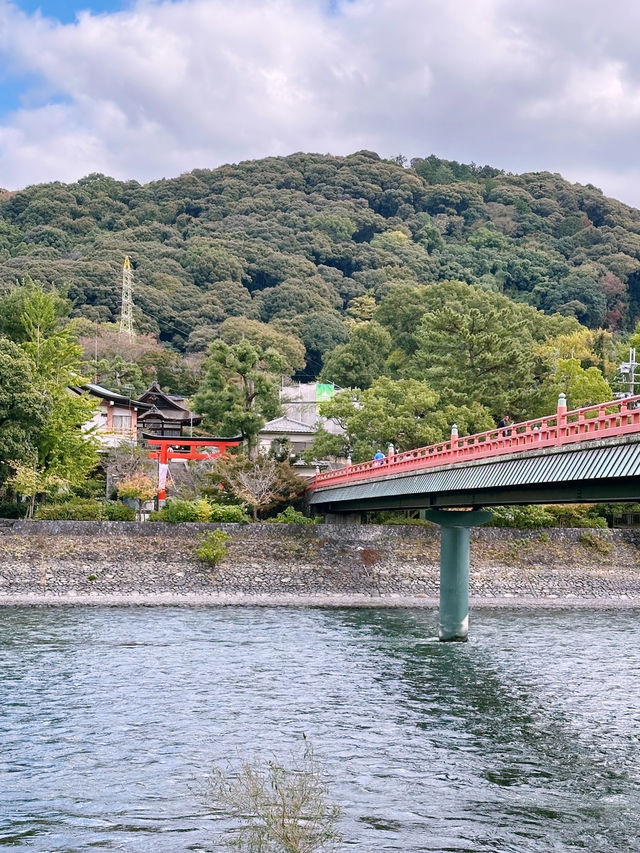 Sippin’ Serenity: A Matcha-Lover’s Day Out in Uji, Japan 🍵🌿