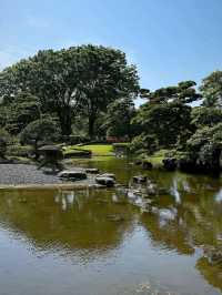 Hidden Gem in the Heart of Tokyo