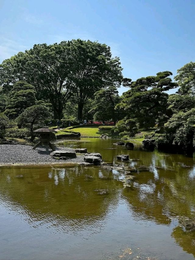 Hidden Gem in the Heart of Tokyo