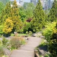 Exploring the Hanbat Arboretum
