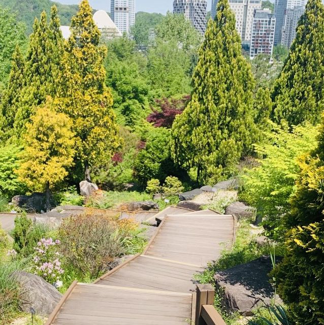 Exploring the Hanbat Arboretum