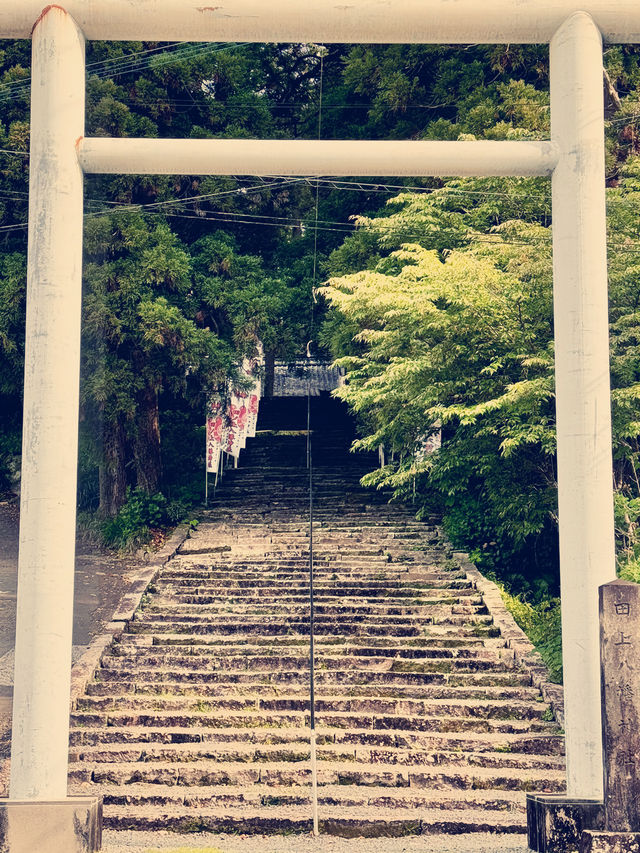 飫肥八幡神社