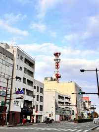 宮崎市區與空港