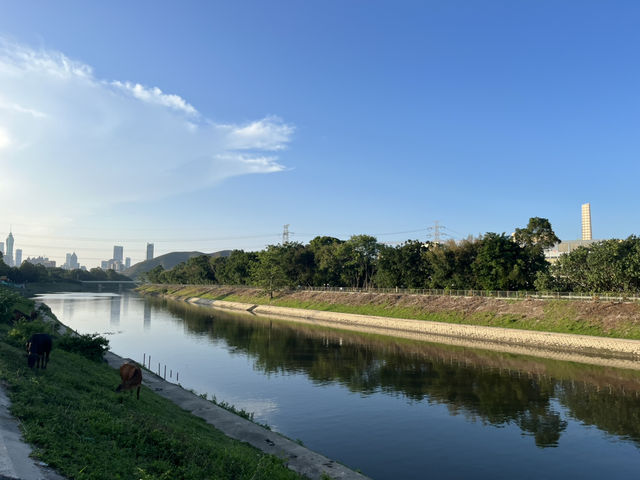 遠離塵囂的城市🏞️感受園田生活🌅 遠離塵囂的城市🏞️感受園田生活🌅