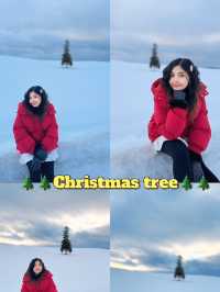 Christmas tree🌲🌲🌲