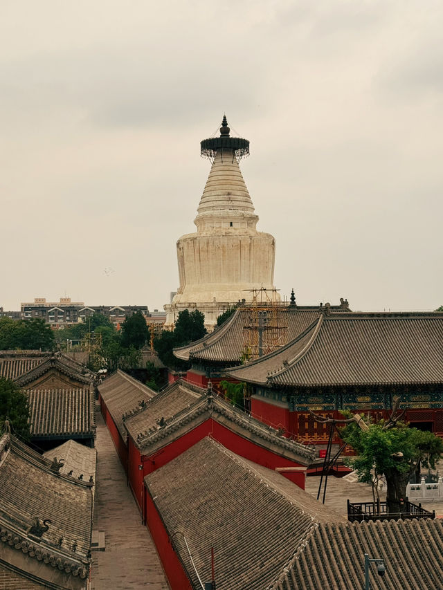 ✨白塔偷走時光！白塔之光的咖啡哲學暴擊✨  