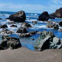 Sonoma Coast State Park – Sonoma County, CA
