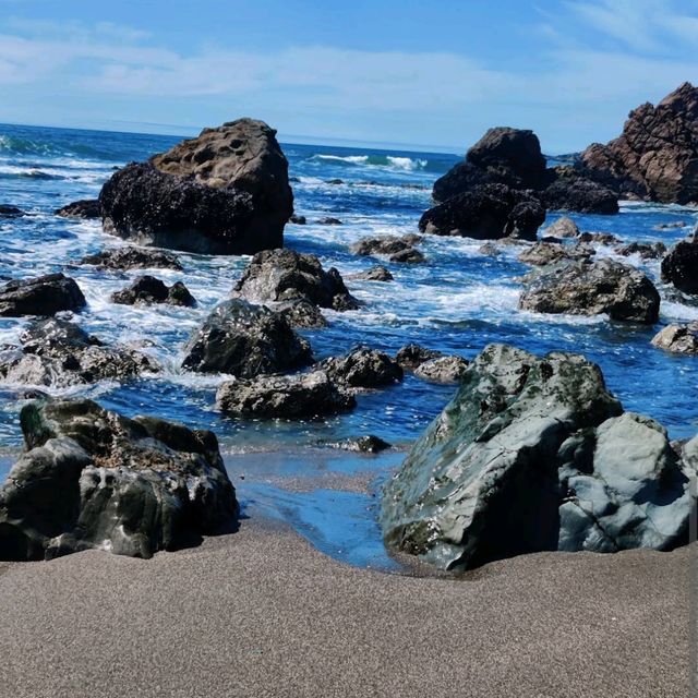 Sonoma Coast State Park – Sonoma County, CA