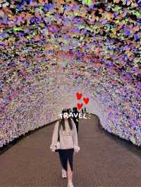 Nabana no Sato เทศกาลไฟสุดยิ่งใหญ่ที่ไม่ควรพลาด