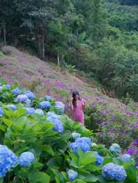คาเฟ่บนดอยที่ดอกไม้สวยมาก
