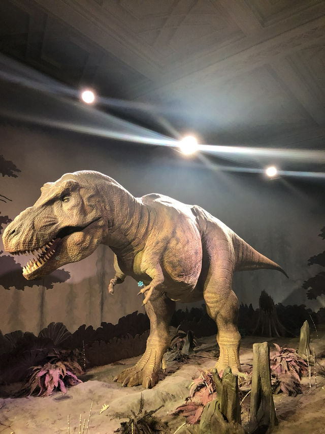 【倫敦必訪🌍自然歷史迷的天堂！自然歷史博物館體驗心得🦖🧬】