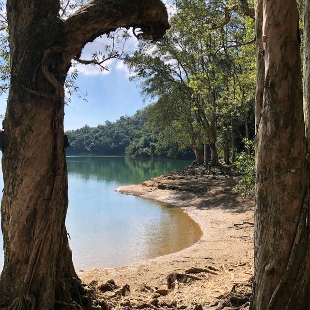 城門水塘（Shing Mun Reservoir）